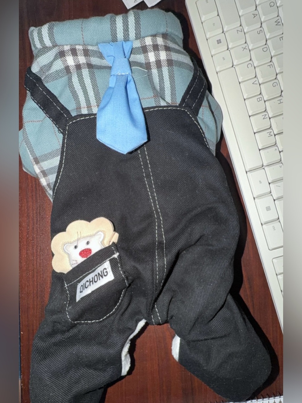 Plaid & Blue Puppy Overalls with Blue Tie